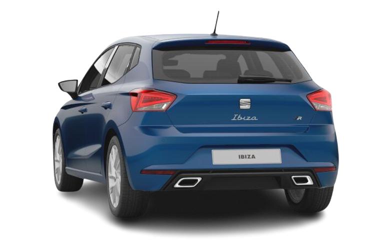 3947015 1.0 TSI 115 Anniversary Limited Edition 5dr