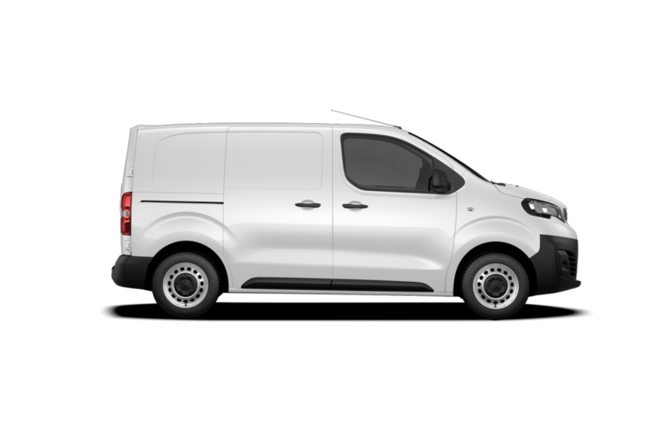 3976484 2.2 150 Professional Crew Van